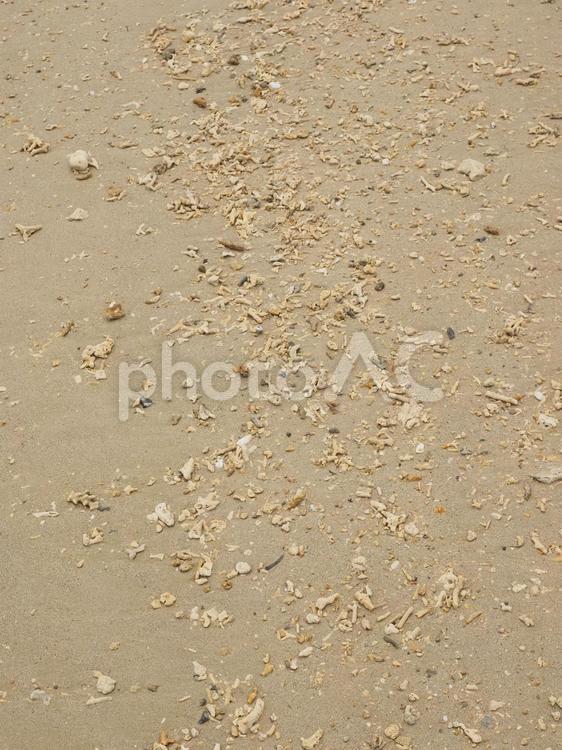 砂浜の貝殻と石（漢那ビーチ、沖縄県）