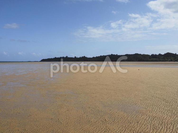 潟原干潟（沖縄県宜野座村）