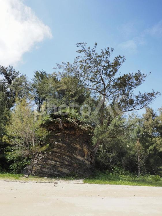 惣慶メーヌ浜、断層の岩（沖縄県宜野座村）