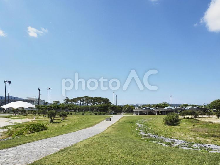 21世紀の森公園の緑地（沖縄県名護市）