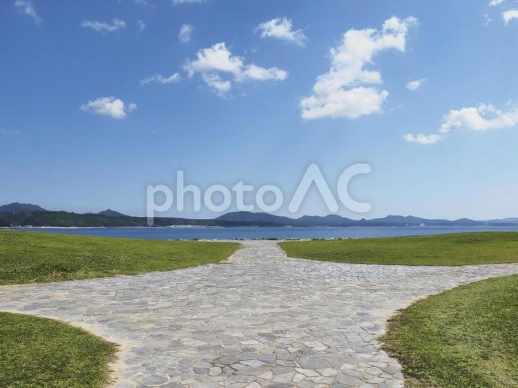 21世紀の森公園の緑地（沖縄県名護市）