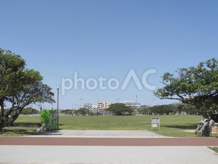 新都心公園の広場（沖縄県那覇市）