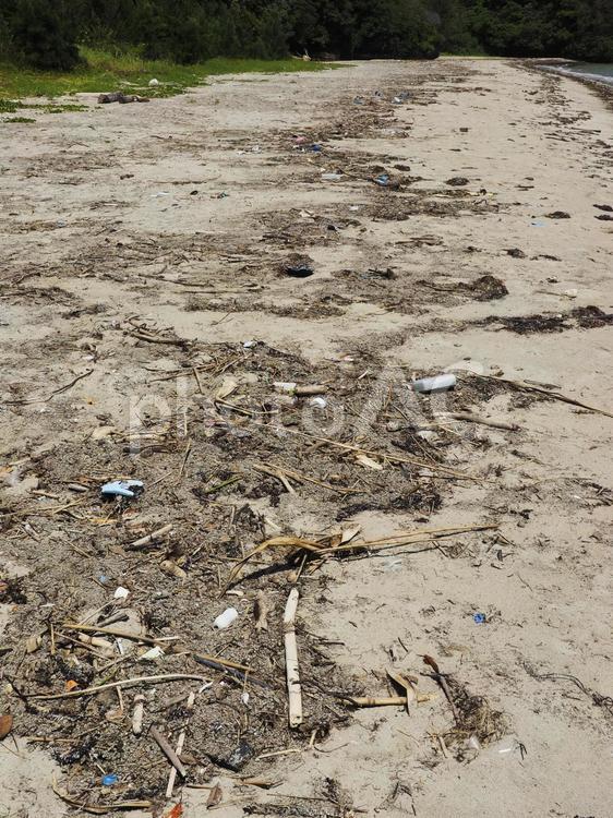 砂浜の漂着ゴミ（沖縄県名護市）