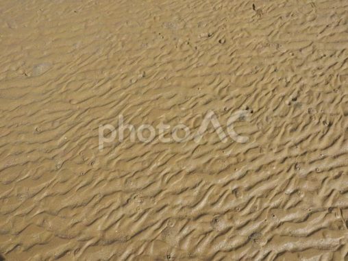 潟原干潟の砂紋（沖縄県宜野座村）