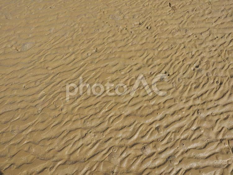 潟原干潟の砂紋（沖縄県宜野座村）