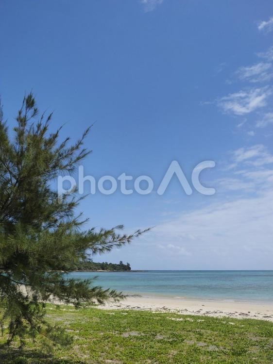 漢那ビーチ、青い海と空（沖縄県宜野座村）