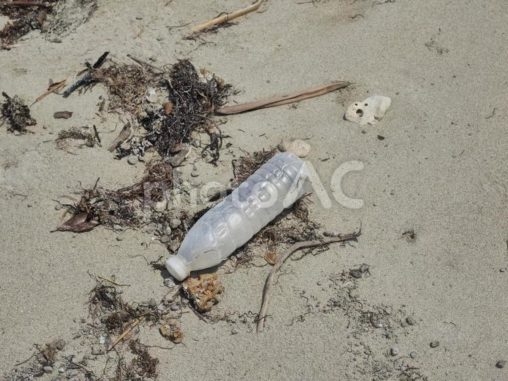 砂浜のペットボトルゴミ（沖縄県名護市）