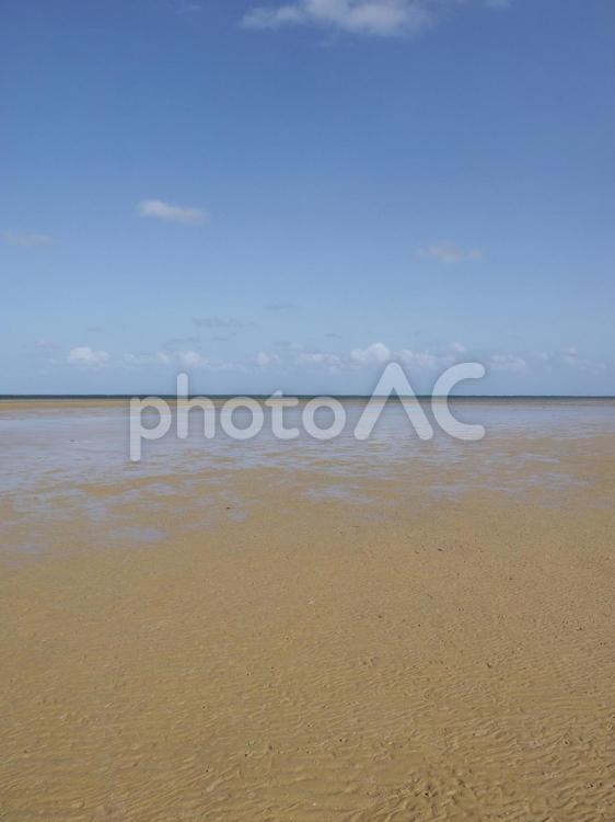 潟原干潟（沖縄県宜野座村）