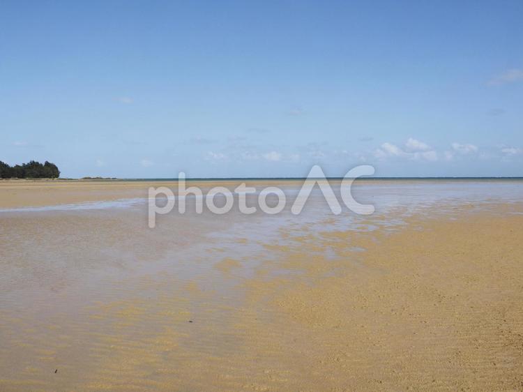 潟原干潟（沖縄県宜野座村）