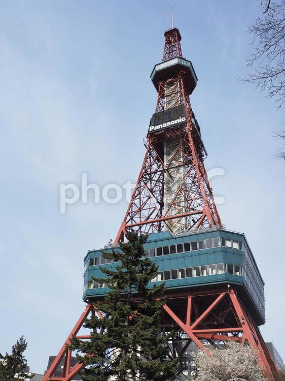 春のさっぽろテレビ塔（北海道、大通公園）
