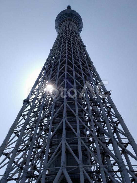 見上げた「東京スカイツリー」（東京都）