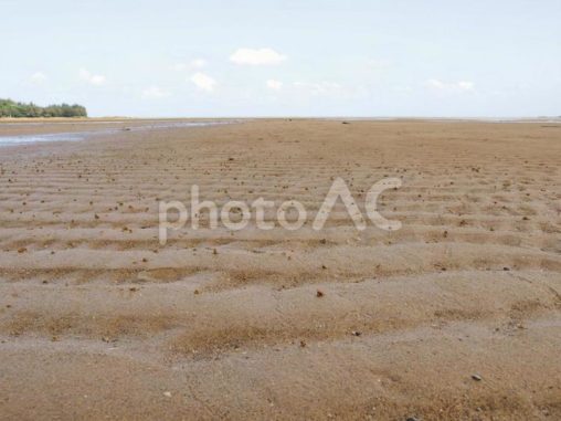 潟原干潟の砂紋（沖縄県宜野座村）