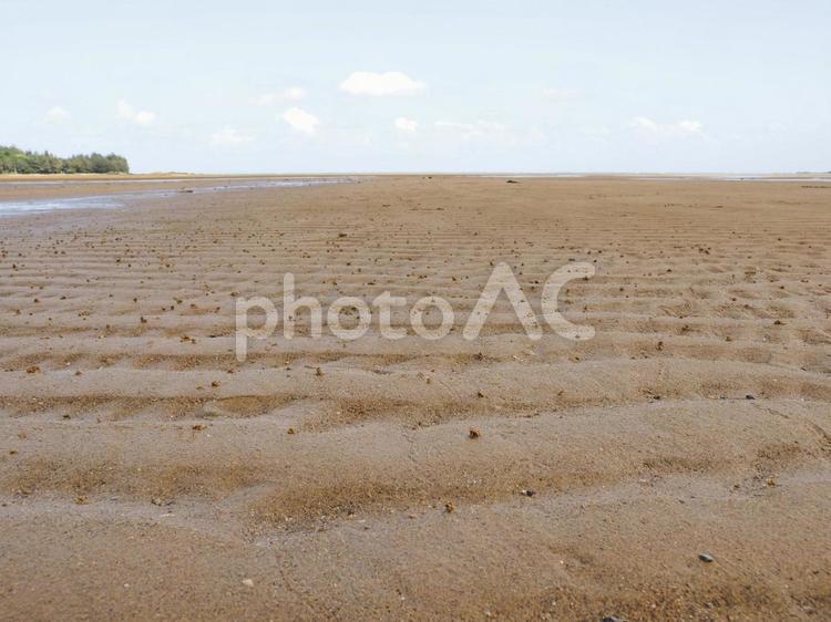 潟原干潟の砂紋（沖縄県宜野座村）