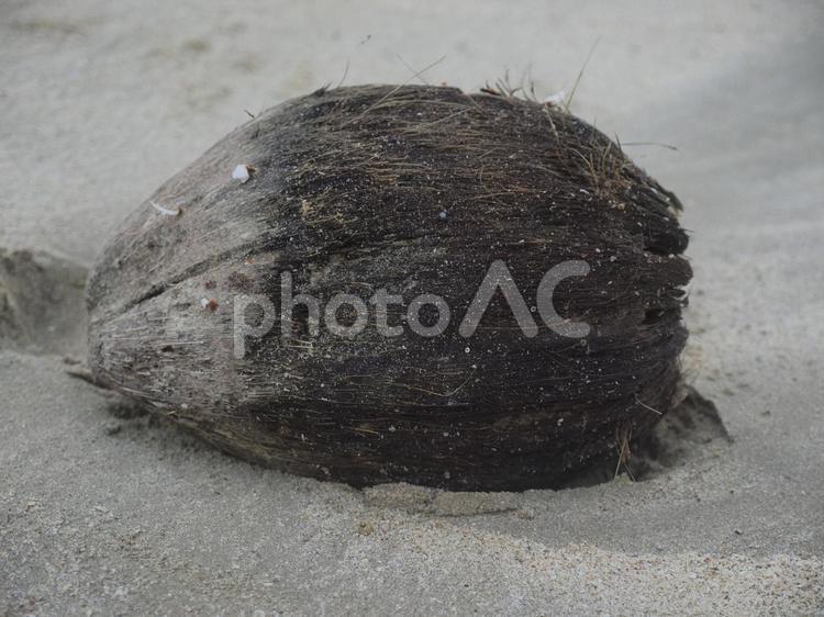 日暮れのビーチとヤシの実（沖縄県金武町）