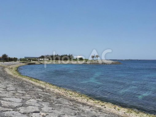 海岸（波の上うみそら公園）