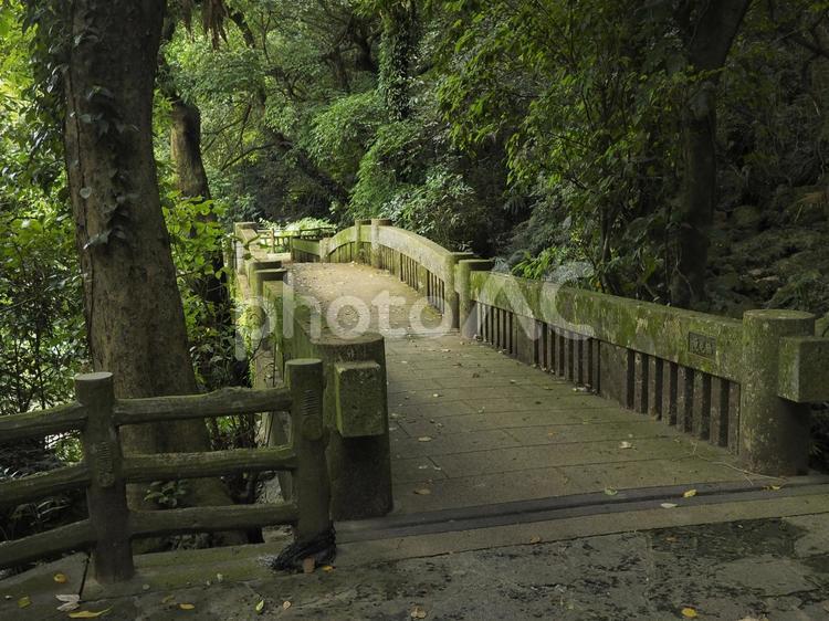 末吉公園の林道、滝見橋（沖縄県那覇市）