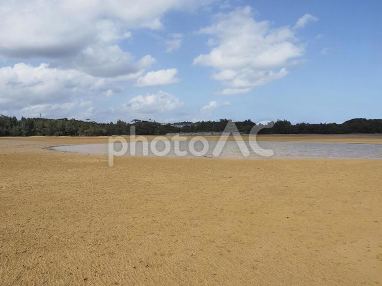 潟原干潟（沖縄県宜野座村）
