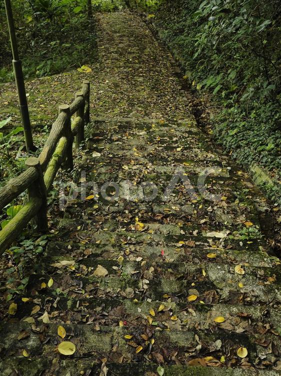 末吉公園の林道、階段（沖縄県那覇市）