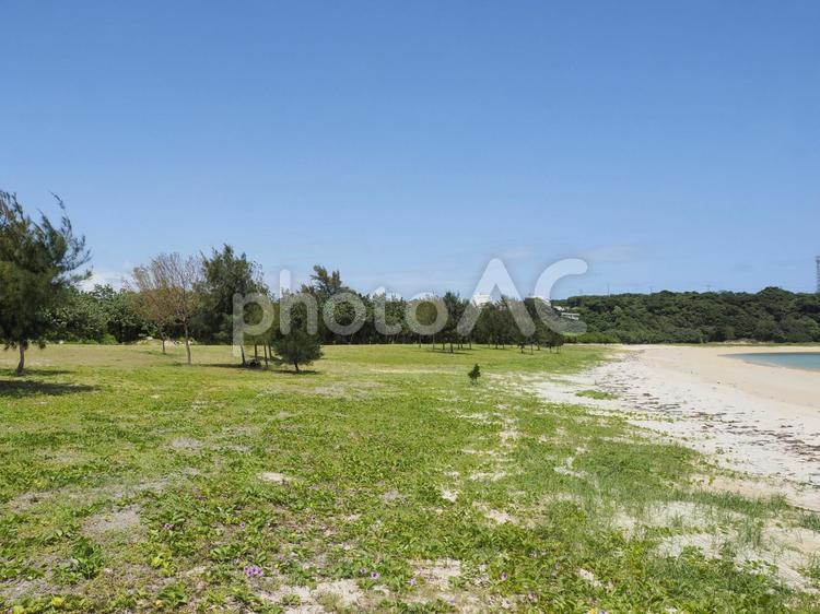 漢那ビーチ、砂浜と青空（沖縄県宜野座村）