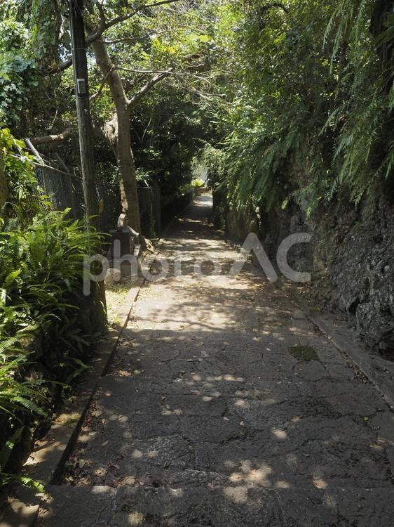 金城町の石畳通り（沖縄県那覇市）