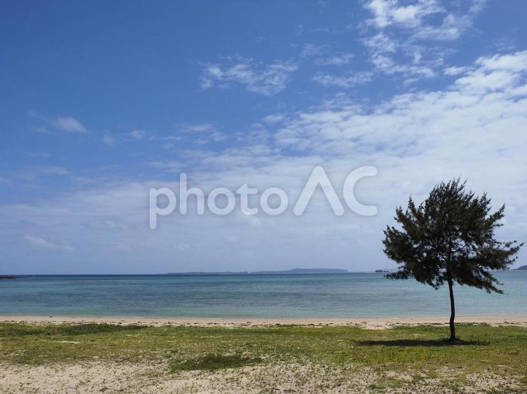 漢那ビーチ、青い海と空（沖縄県宜野座村）