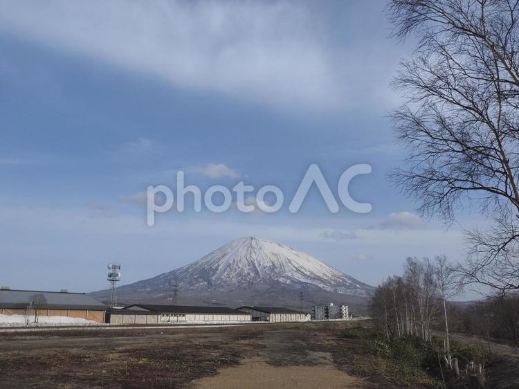 羊蹄山〔蝦夷富士〕（北海道倶知安町）