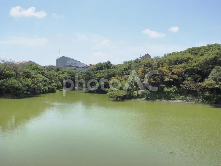 龍潭池〔首里城再建中〕（沖縄県）