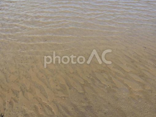 潟原干潟の砂紋（沖縄県宜野座村）