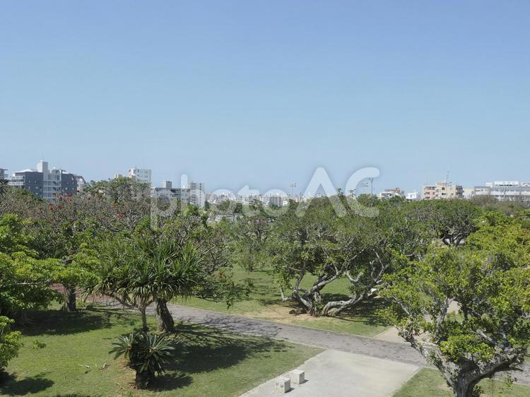 新都心公園（沖縄県那覇市）