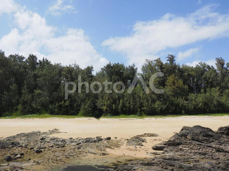 惣慶メーヌ浜、浜と防風林（沖縄県宜野座）