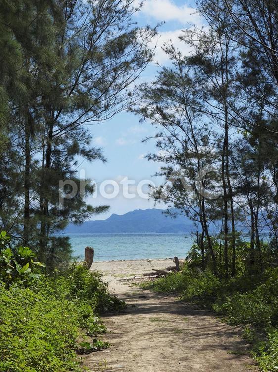 真喜屋の浜の入口（沖縄県名護市）