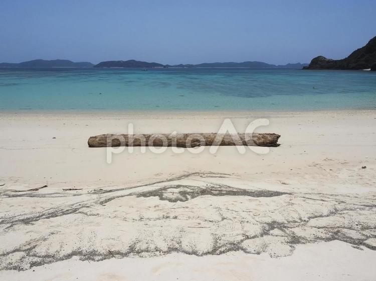 砂浜と流木、渡嘉志久ビーチ（渡嘉敷島）