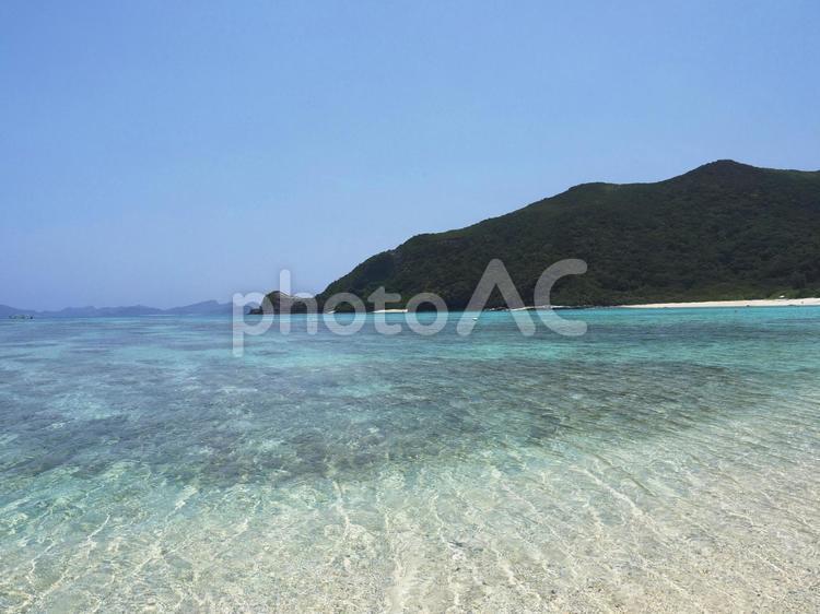 南の島の透明な海の水