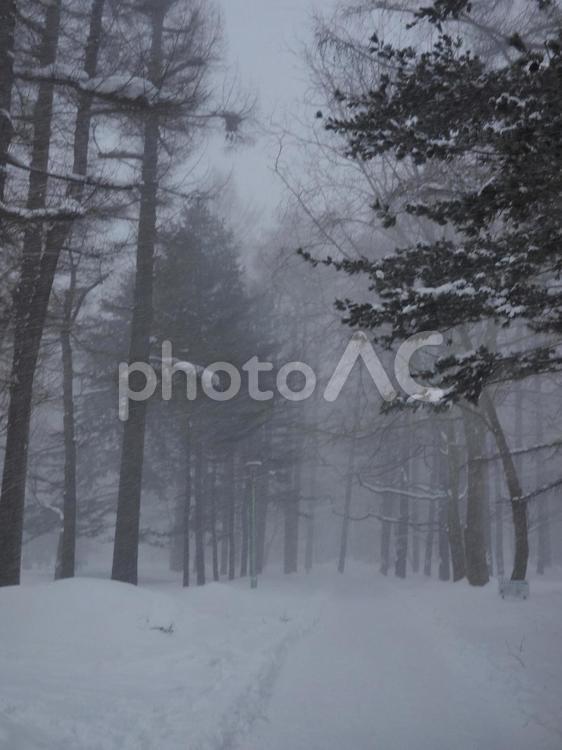 吹雪の円山公園（北海道札幌市）