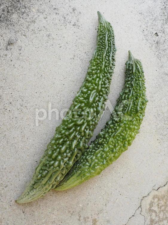 収穫したゴーヤー