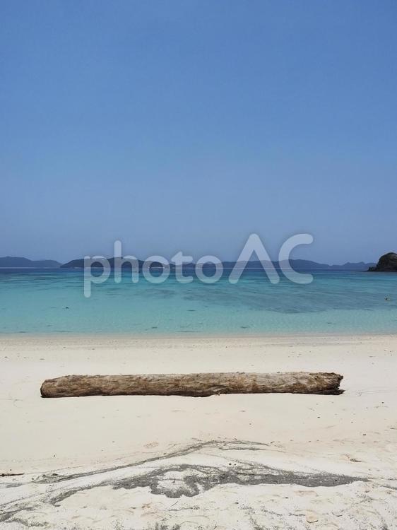 砂浜と流木、渡嘉志久ビーチ（渡嘉敷島）