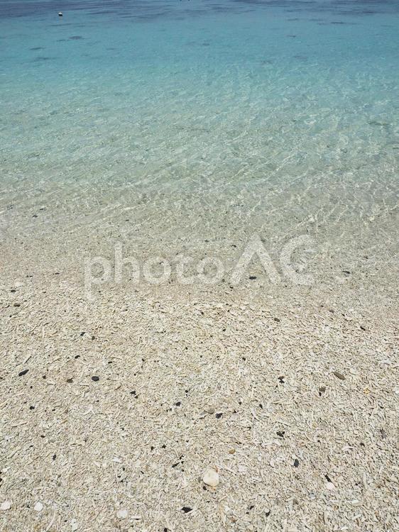 透明な海の水（渡嘉志久ビーチ）