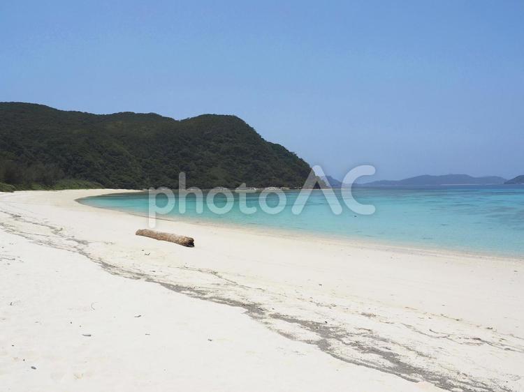 美しい砂浜 渡嘉志久ビーチ（渡嘉敷島）