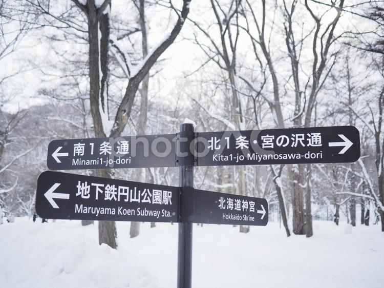積雪の円山公園の標識（北海道札幌市）
