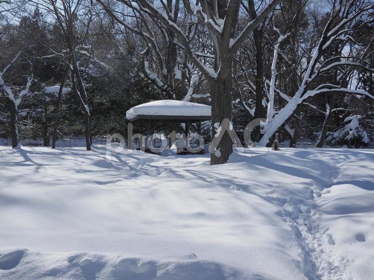 積雪の円山公園（北海道札幌市）