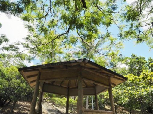 晴れた日、公園の東屋