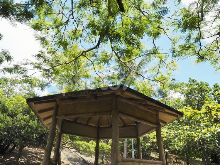 晴れた日、公園の東屋