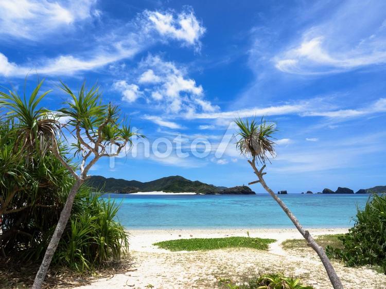 美しい海、ビーチへの入り口（座間味島）