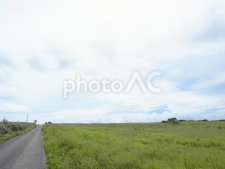 くもり空と草原と道