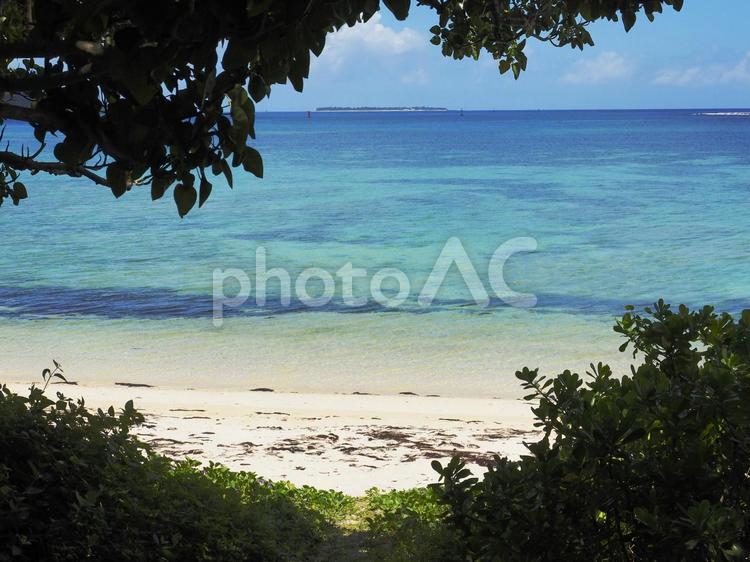 日陰から眺める、青空と海と砂浜