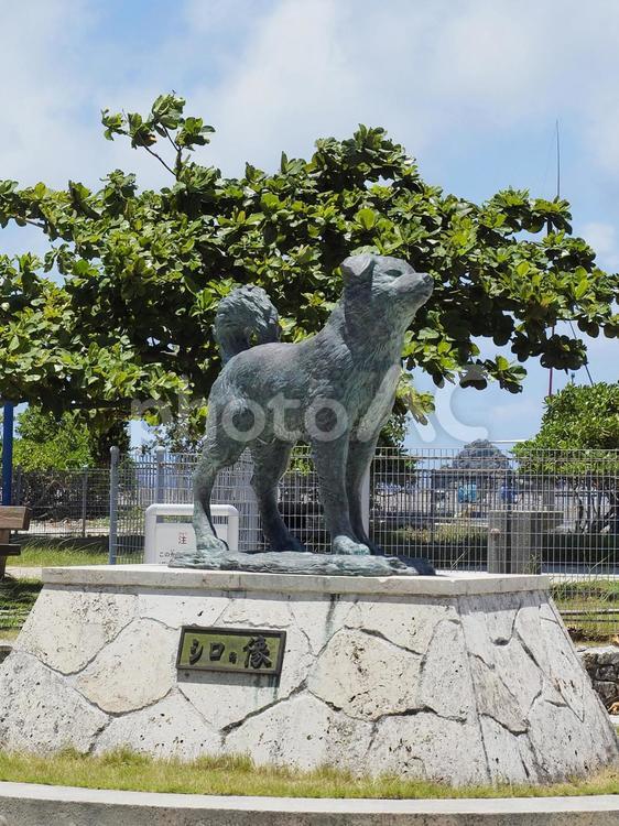 シロの像、阿嘉島（沖縄県座間味村）