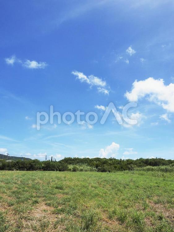 夏の青空と畑