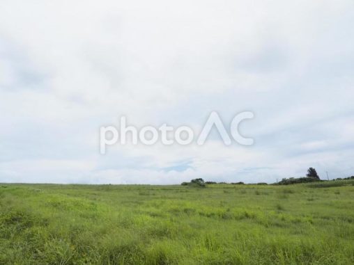 くもり空と草原