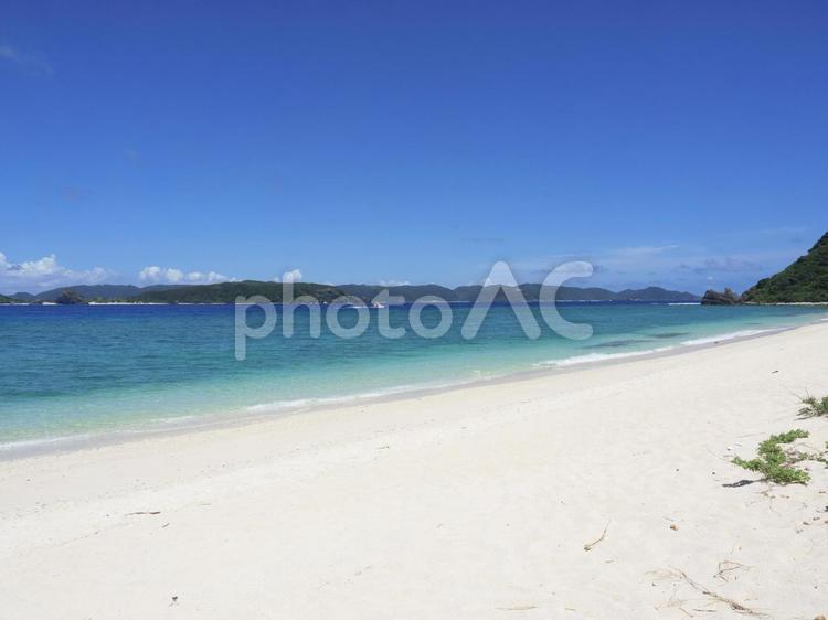 美しい砂浜、ニシバマビーチ（座間味村）