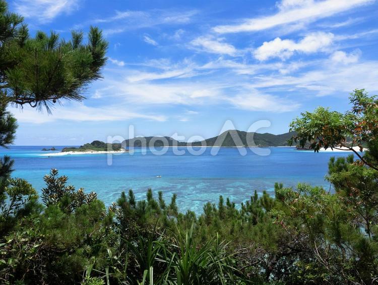 座間味島の丘から眺める慶良間の島々